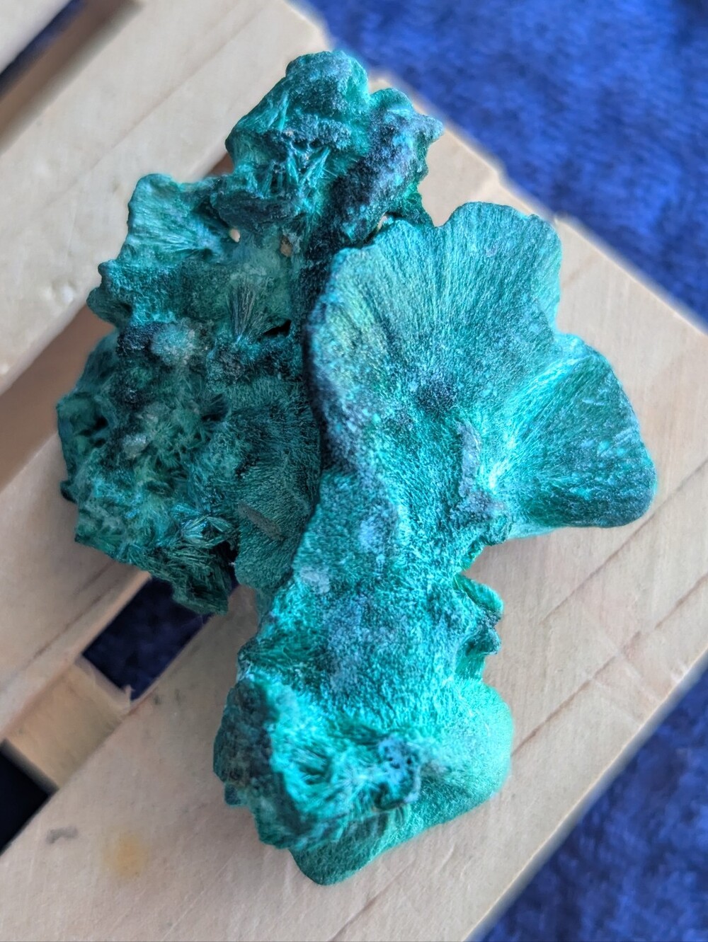 ⭐ MALACHiTE Raw Specimen ⚡ Energy magnifying Gem Rock 💚 Heart chakra healing